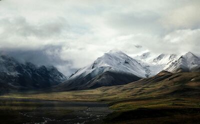 © Nathan Anderson - unsplash.com